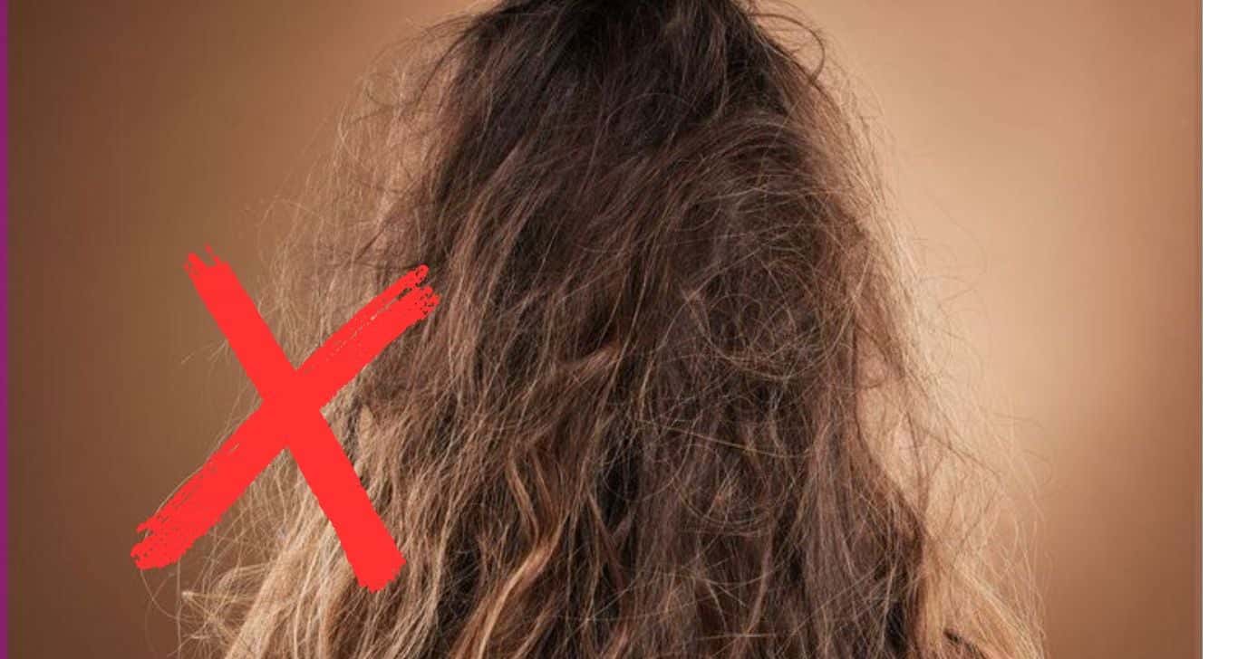 Cabelo liso sem frizz: 3 truques de salão para fazer em casa (Foto Reprodução/Montagem/TV Foco/Canva/Paola)