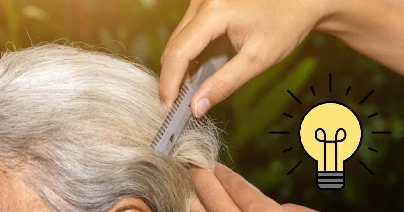 Bob moderno repicado: O corte que os cabeleireiros recomendam para as 60+ (Foto Reprodução/Montagem/TV Foco/Canva/Paola)