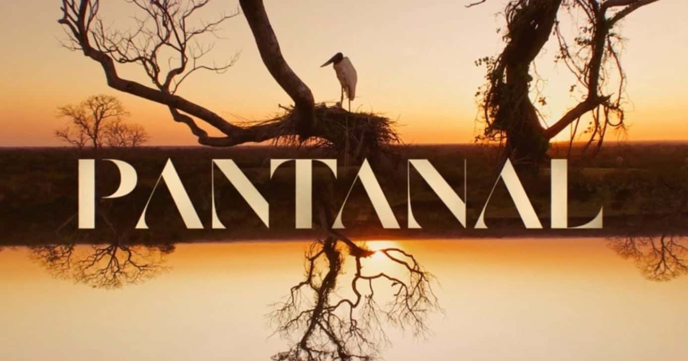 Novela Pantanal (Foto: Globo)