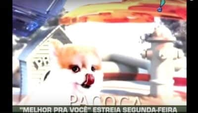 Imagem do post