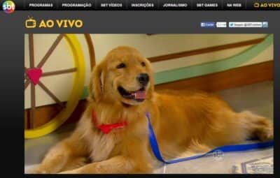 Imagem do post