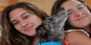 Imagem card com fundo