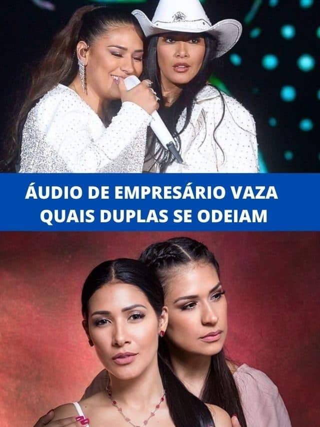 Áudio de empresário vaza quais duplas se odeiam