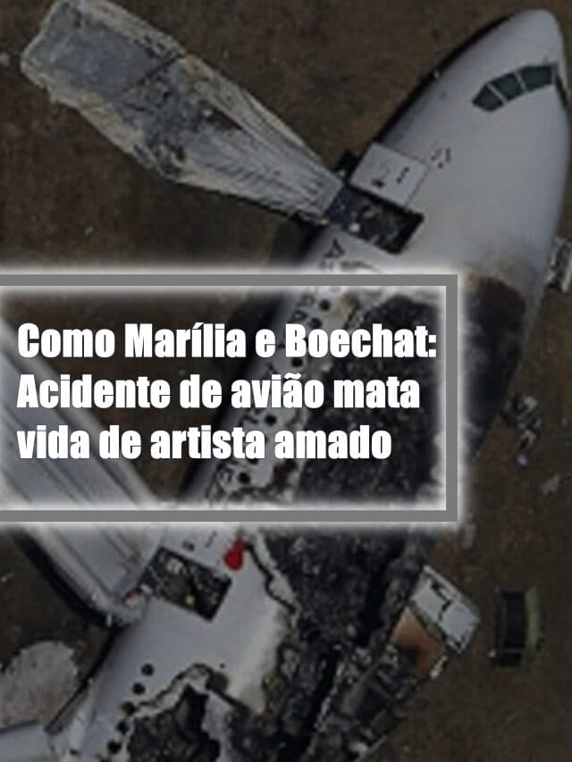 Acidentes de aviões matam vidas de amados artistas