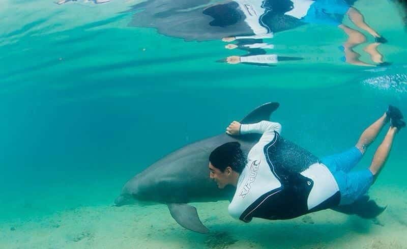 (Foto: Divulgação)