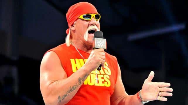 Hulk Hogan é demitido da WWE e deixa reality. (Foto: Divulgação)