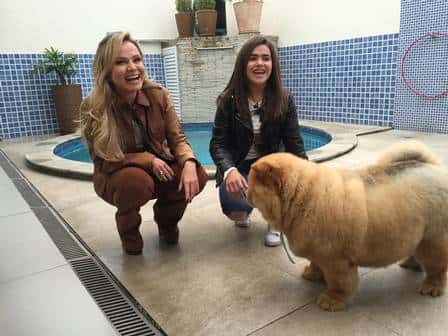 (Foto: Divulgação/SBT)