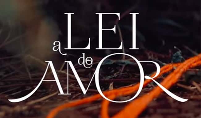 leidoamor-2-650×441