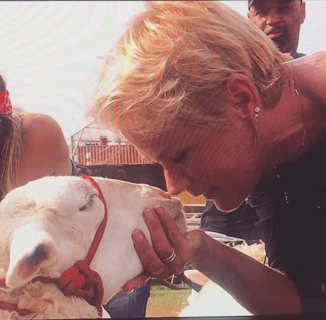 Xuxa visitou "A Fazenda" (Foto reprodução)