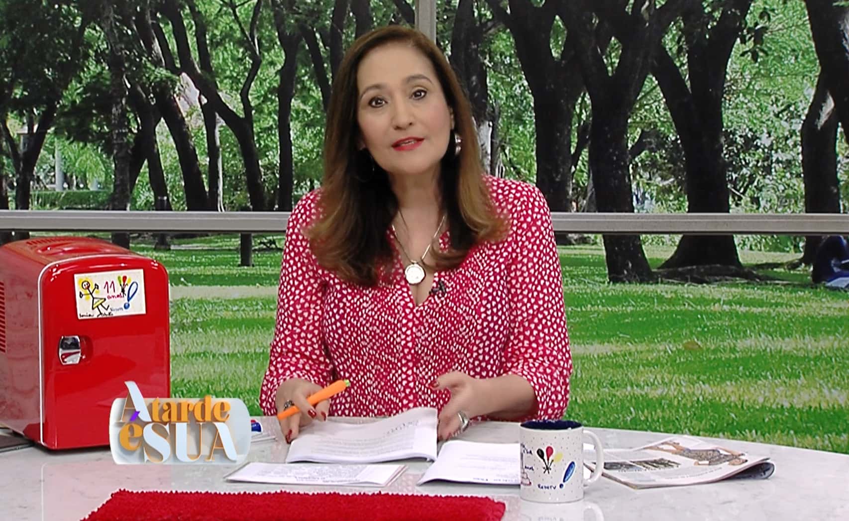 A Tarde é Sua de Sonia Abrão (Crédito/Foto: Divulgação/RedeTV!)