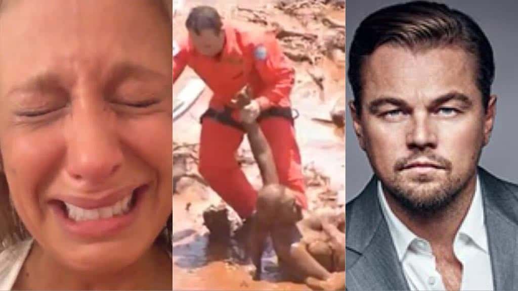Luisa Mell e Leonardo DiCaprio se posicionam em meio a tragédia de Brumadinho MG (Foto: Montagem/ TV Foco)