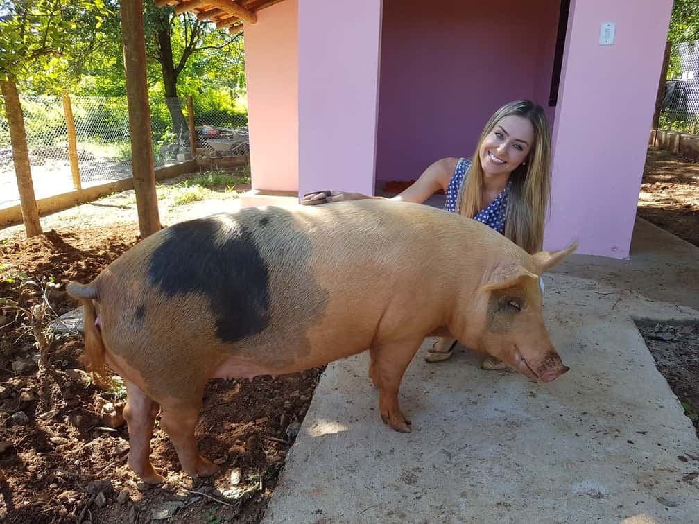 paula-pipa