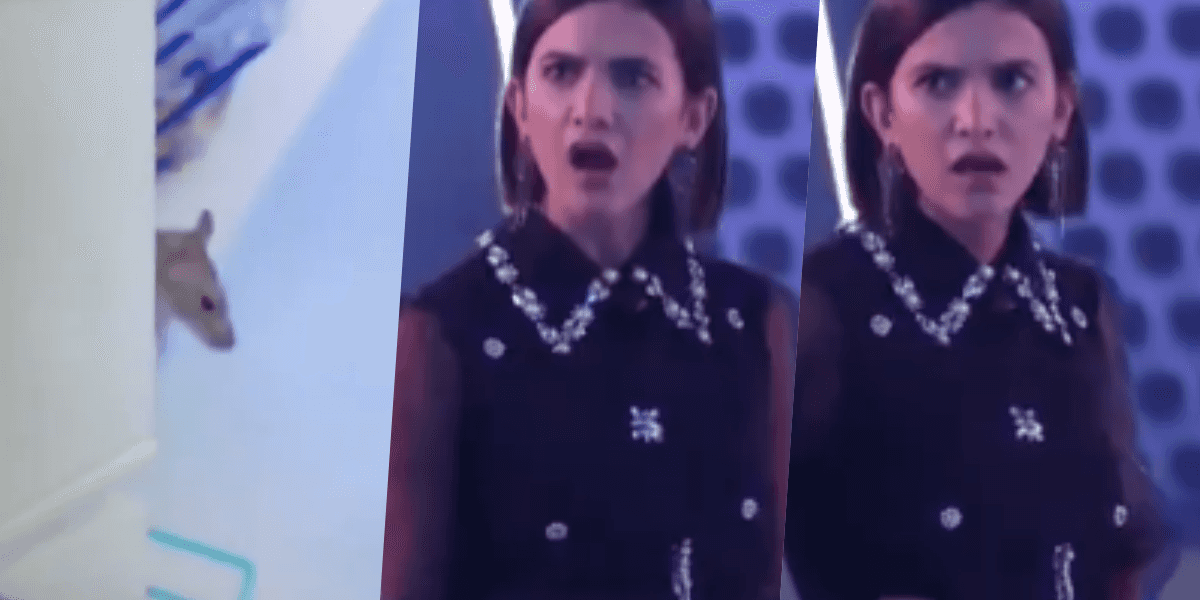 Rato invadiu casa do BBB20 e participantes foram impedidos de entrar (Foto montagem: TV Foco)