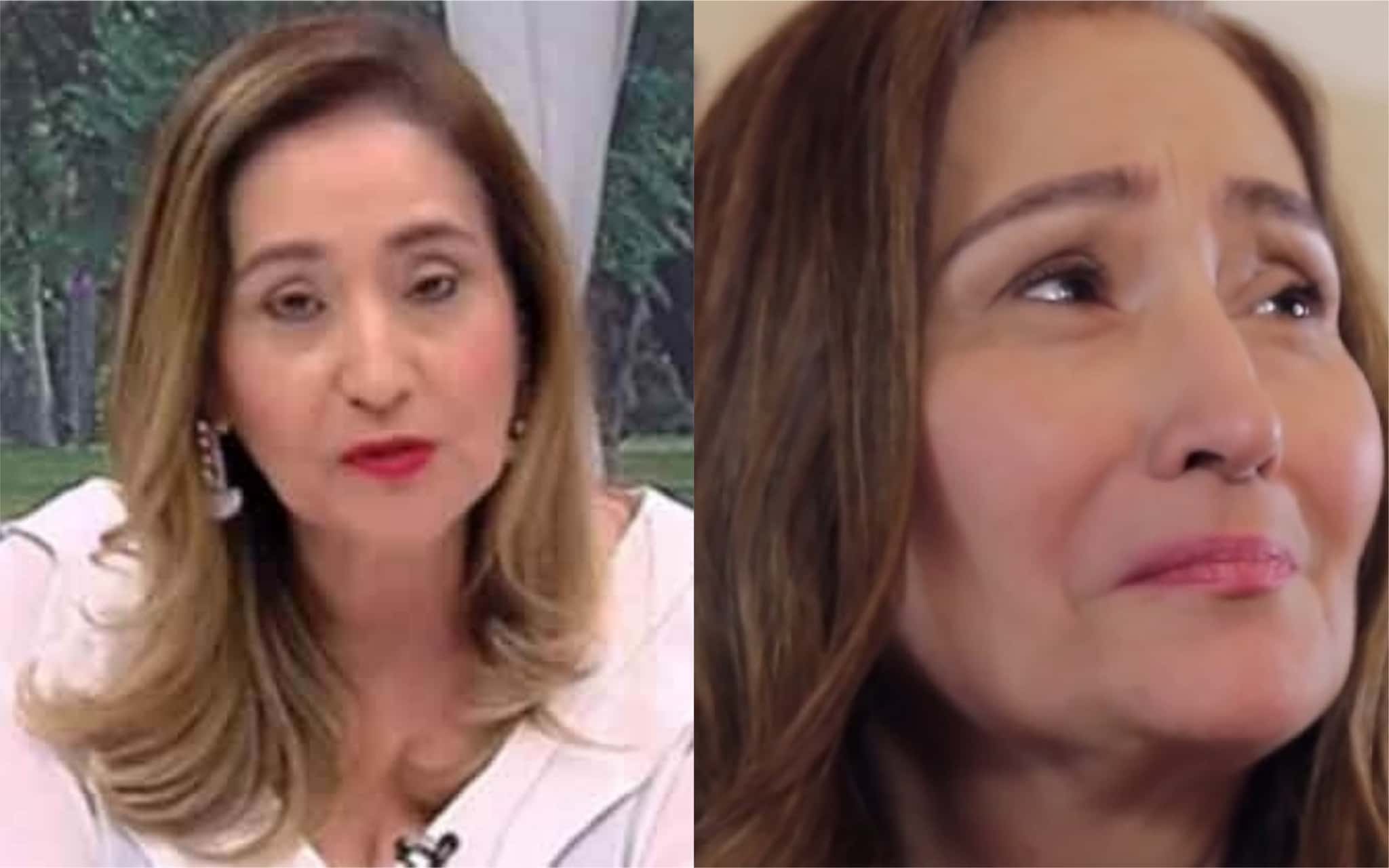 Sonia Abrão (Foto: Divulgação)
