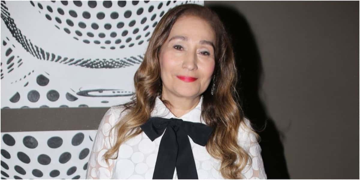 Sonia Abrão é apresentadora do "A Tarde é Sua" (Foto: AgNews)