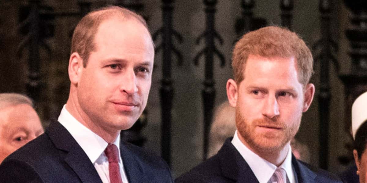 Príncipe Harry e seu irmão William (Foto: Reprodução)