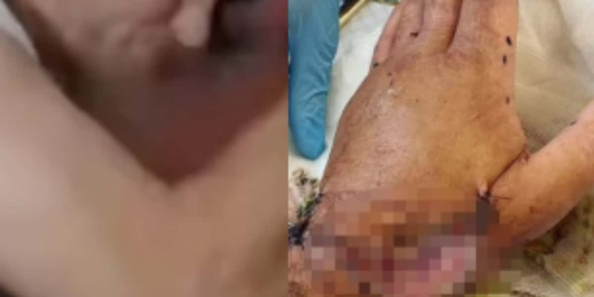 Ator foi atacado por tubarão após se arriscar em alto mar (Imagem: Montagem)