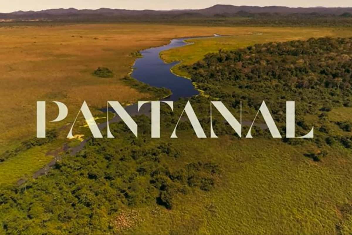 Ator de Pantanal assumiu namorado (Foto: Reprodução)