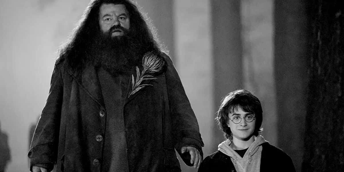 Hagrid, de Harry Potter, morre aos 72 anos (Reprodução)