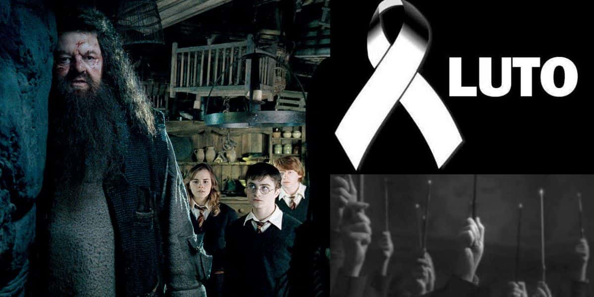 Estrela de Harry Potter tem morte confirmada (Reprodução)
