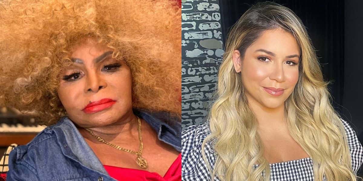 Elza Soares e Marília Mendonça deixaram fortuna para herdeiros (Reprodução Instagram)