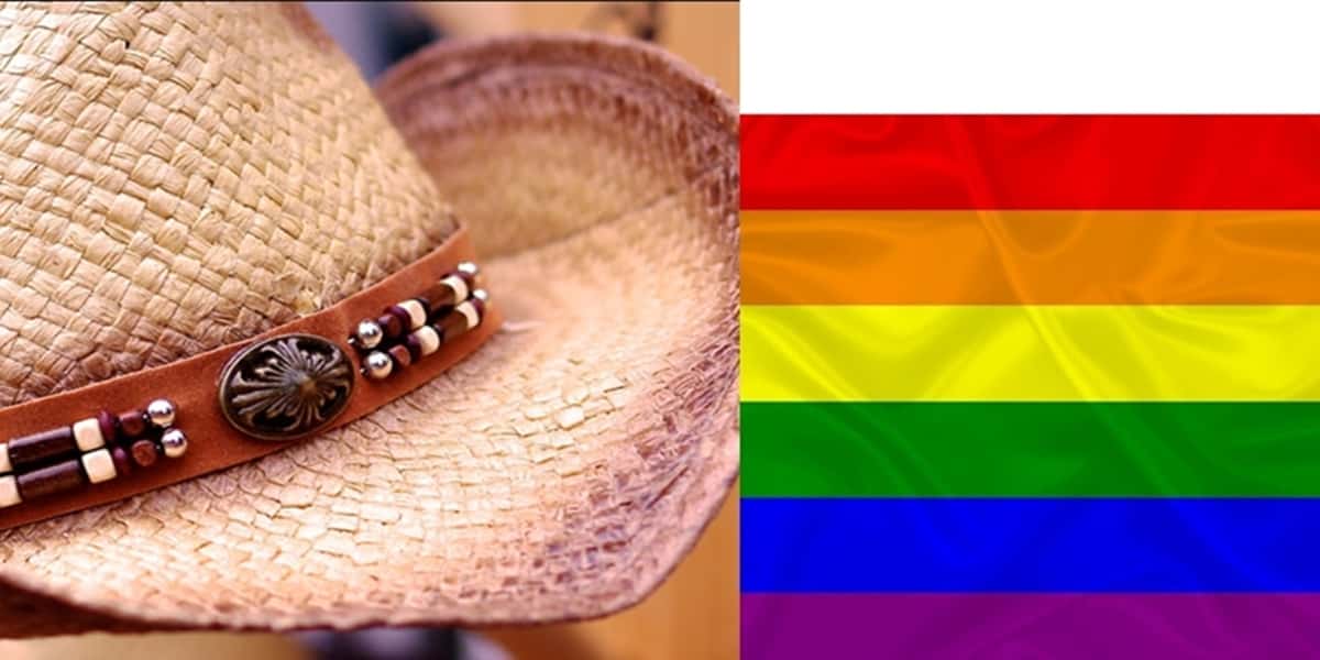 Sertanejo tem apoiado o LGBTs (Foto: Montagem)
