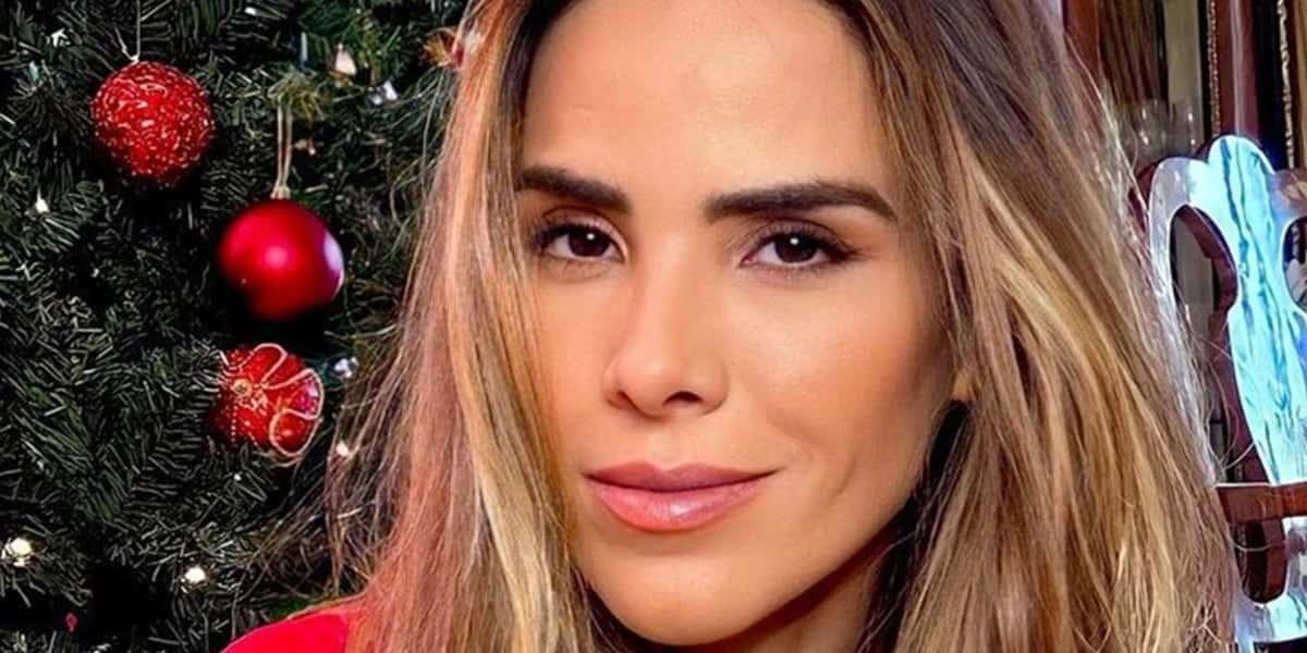 Wanessa Camargo teve relação com sobrinha de Zezé exposta em entrevista (Foto: Reprodução)