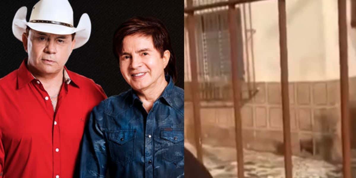 Chitãozinho e Xororó - Foto Montagem TV Foco