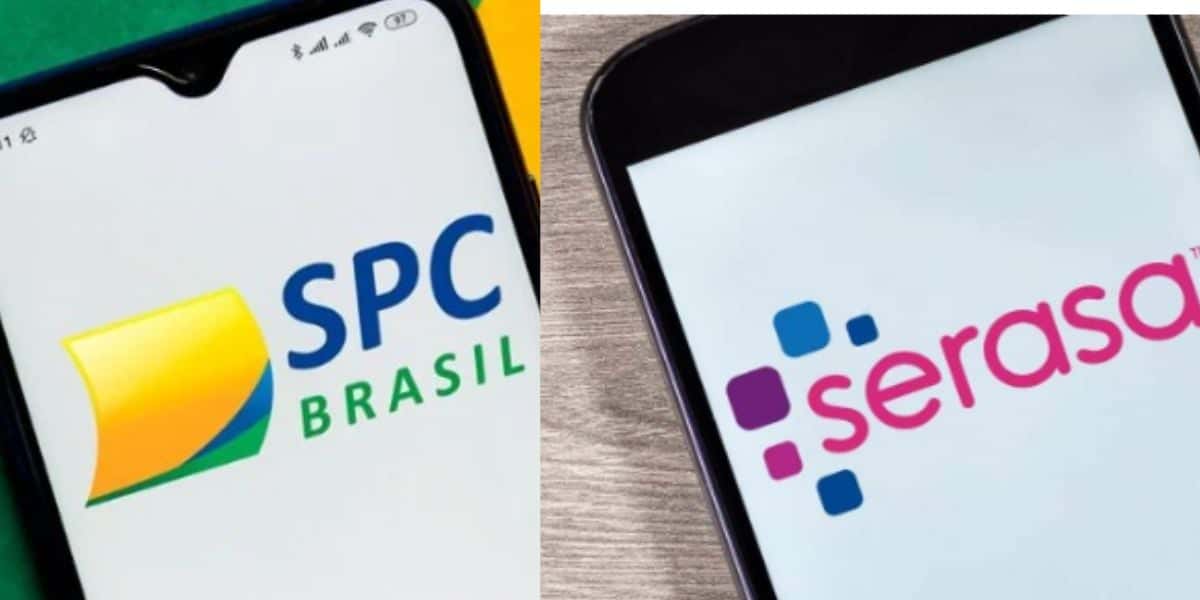 SPC e Serasa - Foto: Montagem: TV Foco