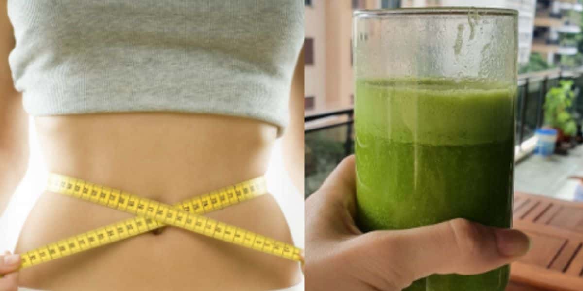 A dieta do suco verde que te fará emagrecer 4kg em apenas 20 dias - Foto: Reprodução