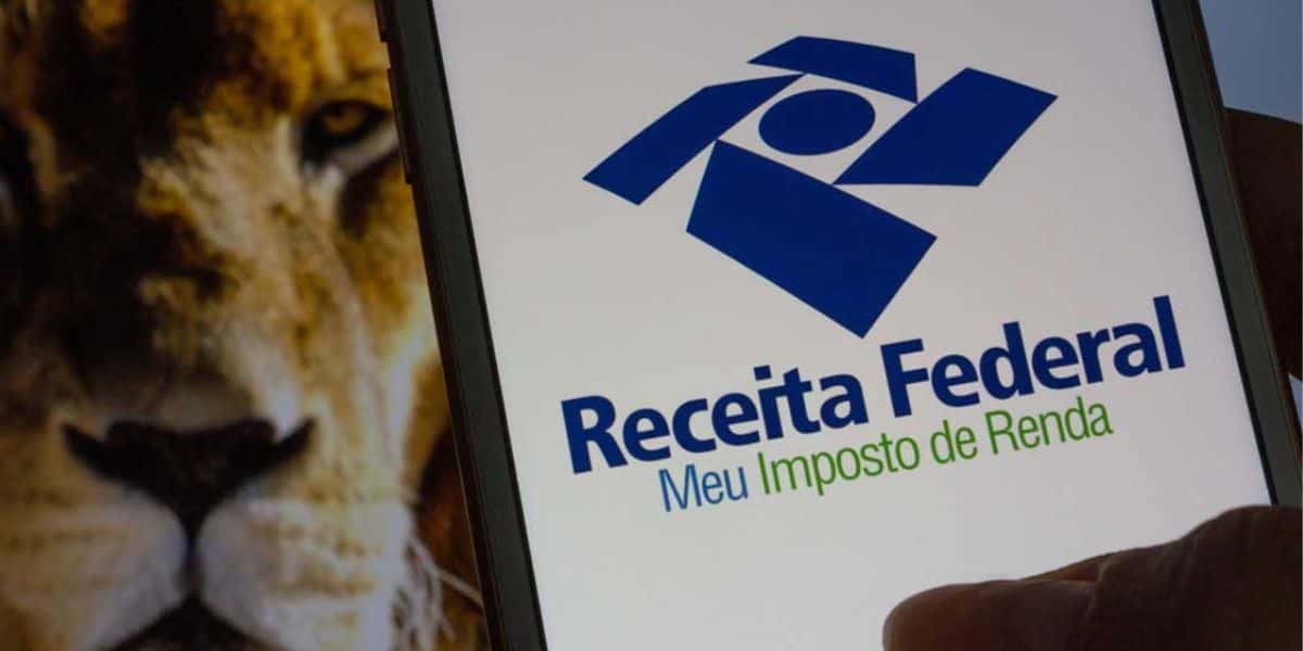 Saiba AGORA se você está com o Imposto de Renda em dia - Foto Reprodução Internet