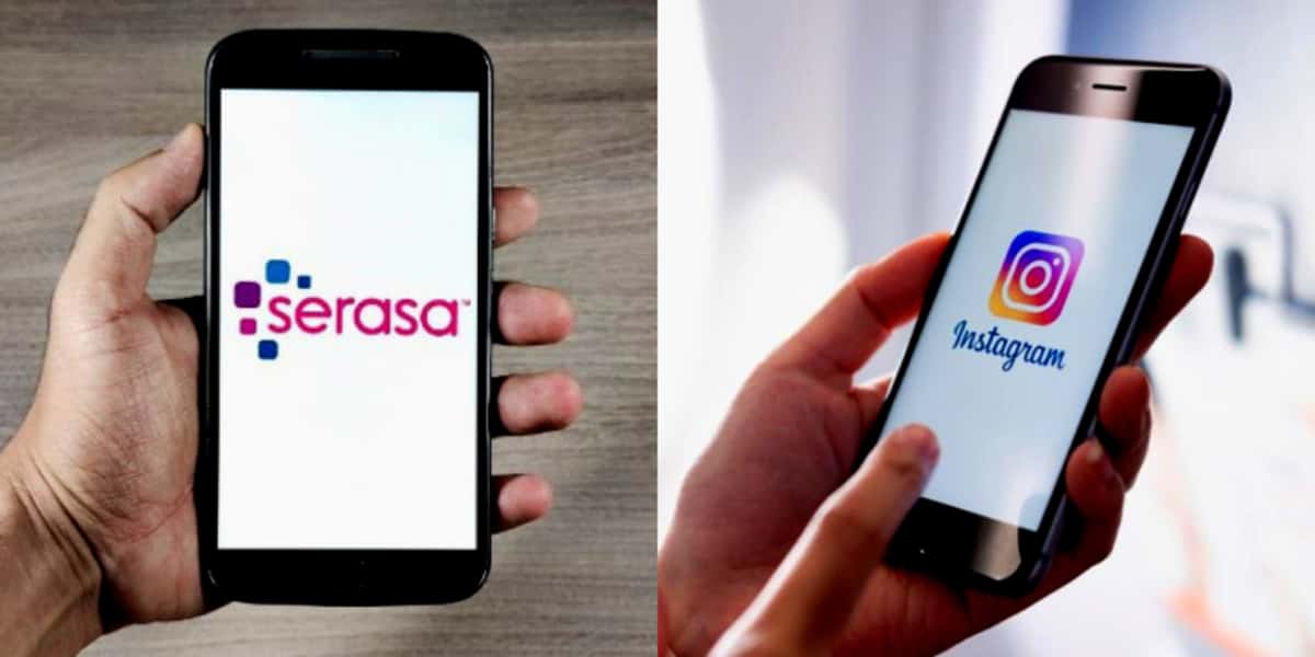 Serasa emite comunicado urgente para usuários do Instagram (Foto Reprodução/Montagem/Tv Foco)