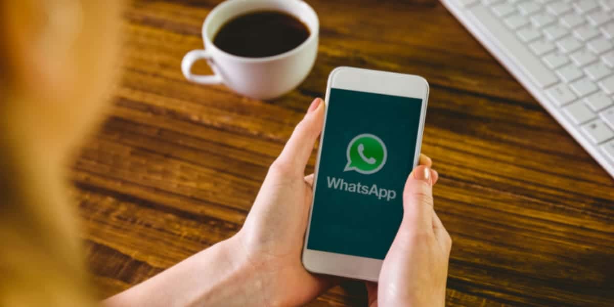 Você pode navegar no WhatsApp de maneira oculta (Reprodução: Internet)