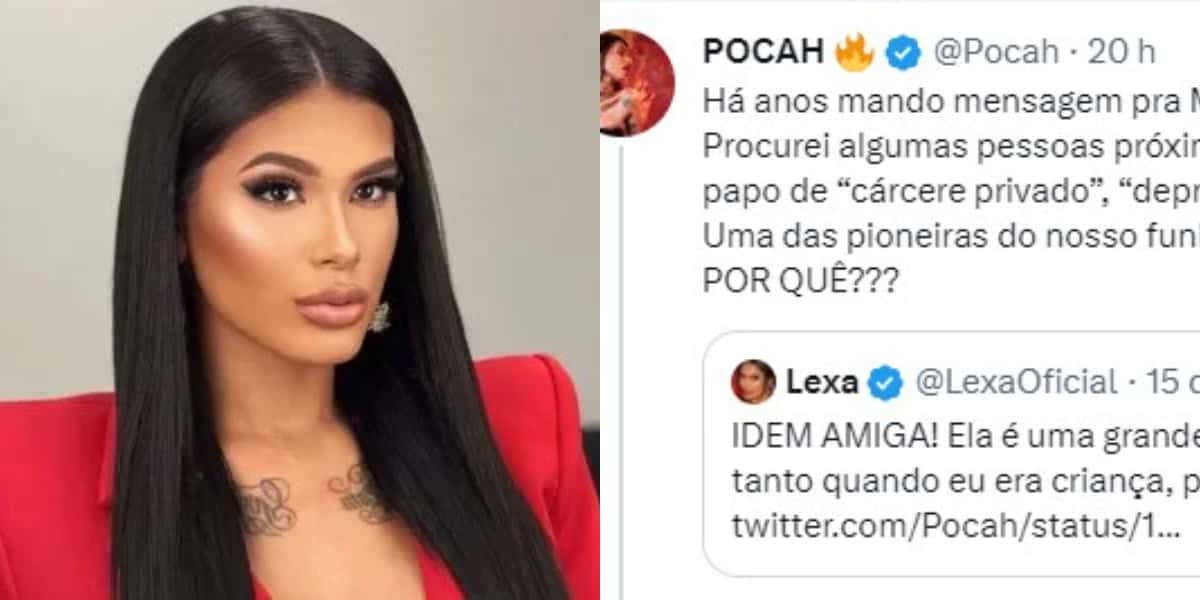 Pocah faz campanha para achar cantora desaparecida (Foto: Reprodução)