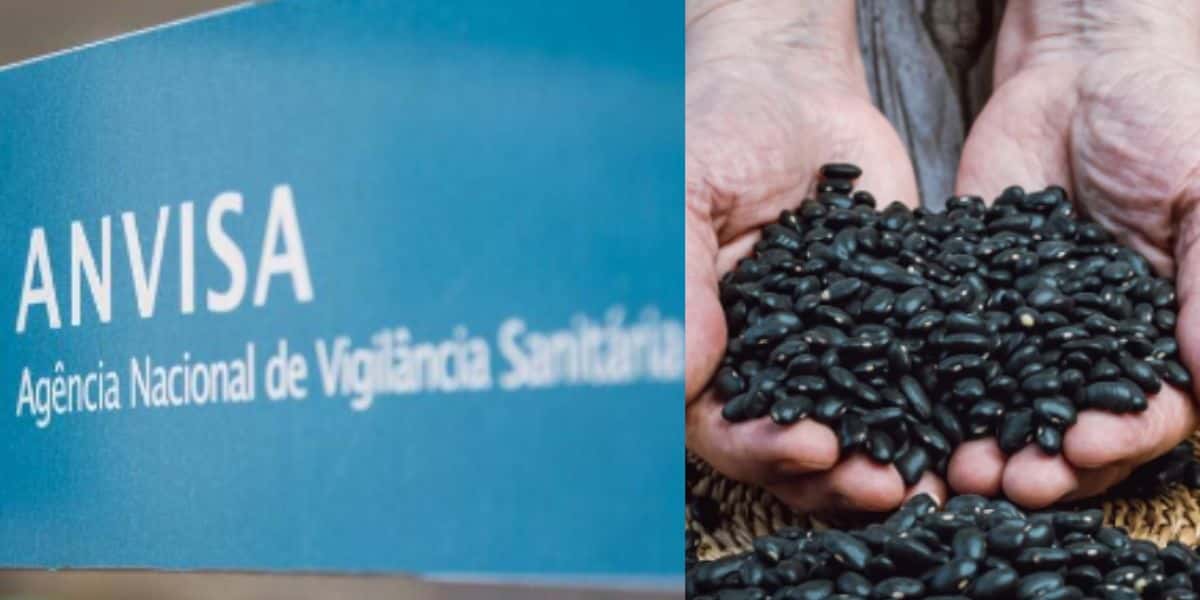 Urgente: Maionese estragada, feijão mofado e molho com fungos Essas marcas podem estar na sua casa agora - Foto: Reprodução