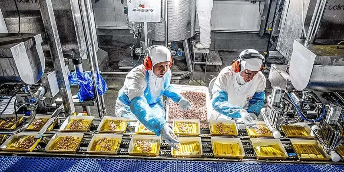Pessoas trabalhando em empresa do setor de alimentos - Foto Reprodução Internet