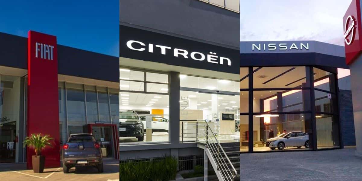 Donos destes carros da Fiat, Citroën e Nissan tem péssima notícia confirmada - Foto: Montagem TVFOCO