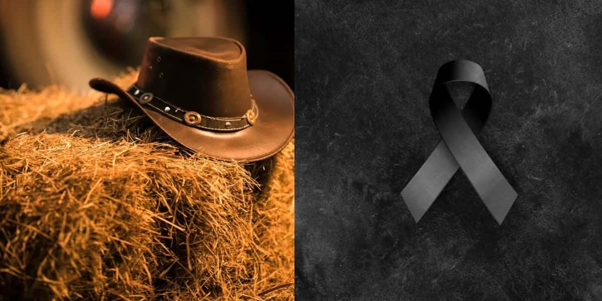 Jornal da Globo confirma triste morte de cantor sertanejo aos 56 anos - Montagem TVFOCO