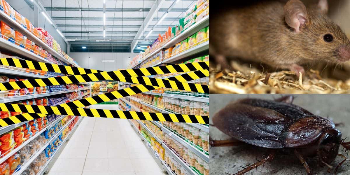 Mercado famoso acaba de ser INTERDITADO por grave risco à saúde - Fotos: Canva