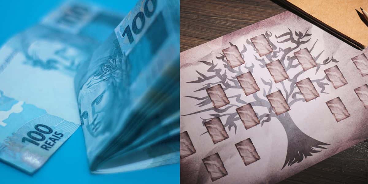 Notas de 100 e árvore genealógica representando a herança (Reprodução - INternet)