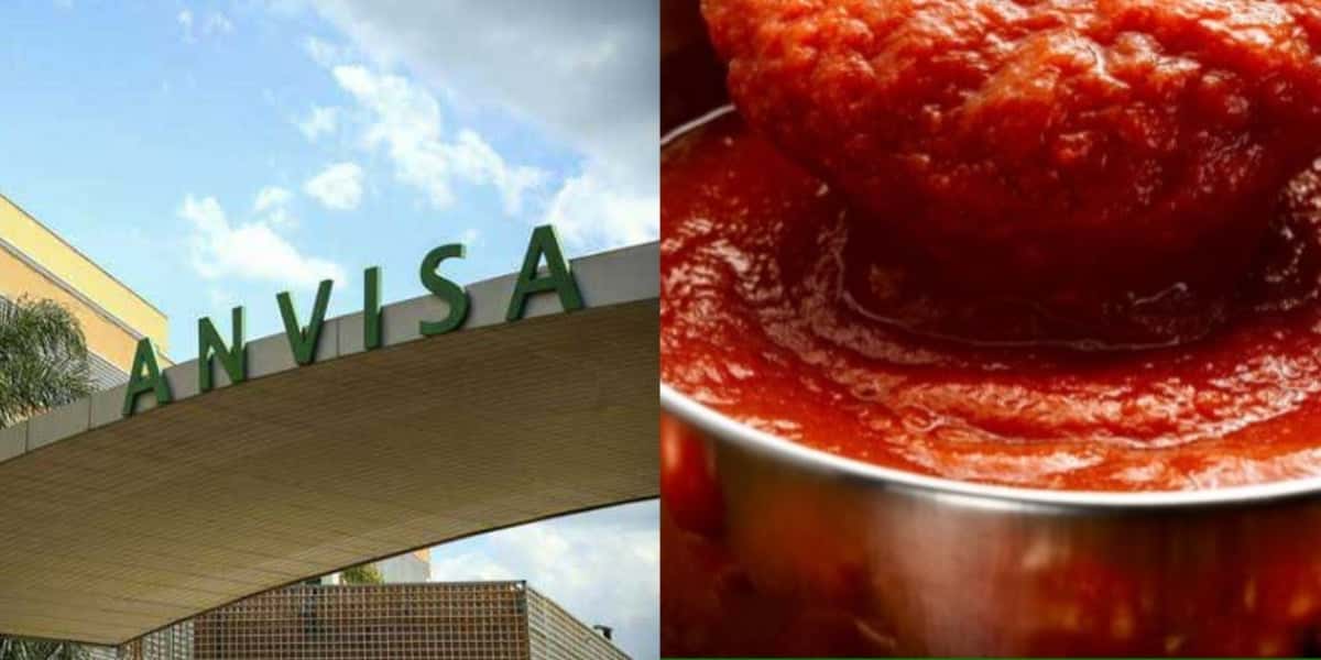 Molho de tomate e notificação da Anvisa - Foto: Reprodução/TV FOCO