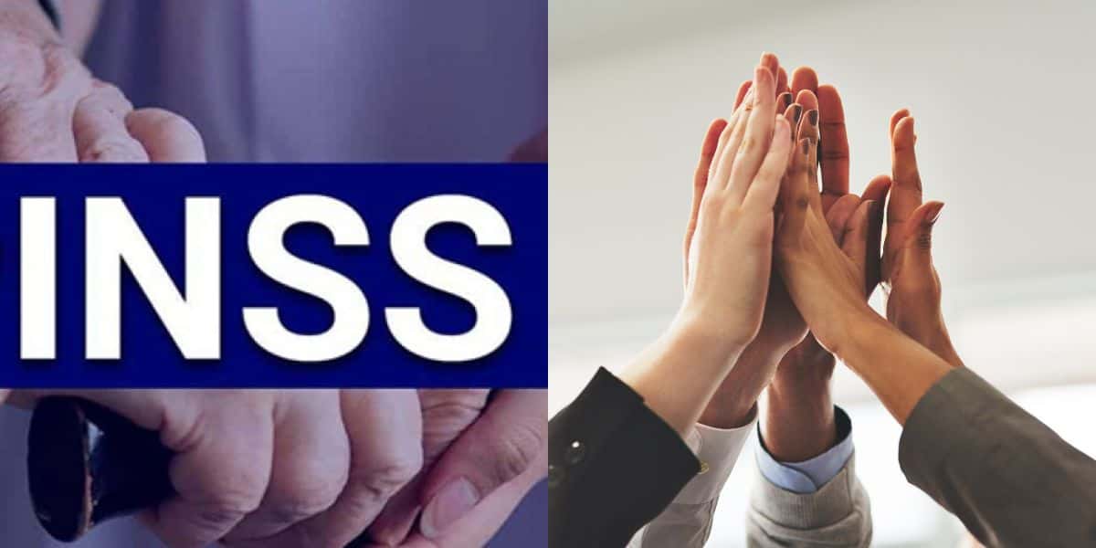 Notícia sobre novo auxílio INSS comemorada (Reprodução: Montagem TV Foco)