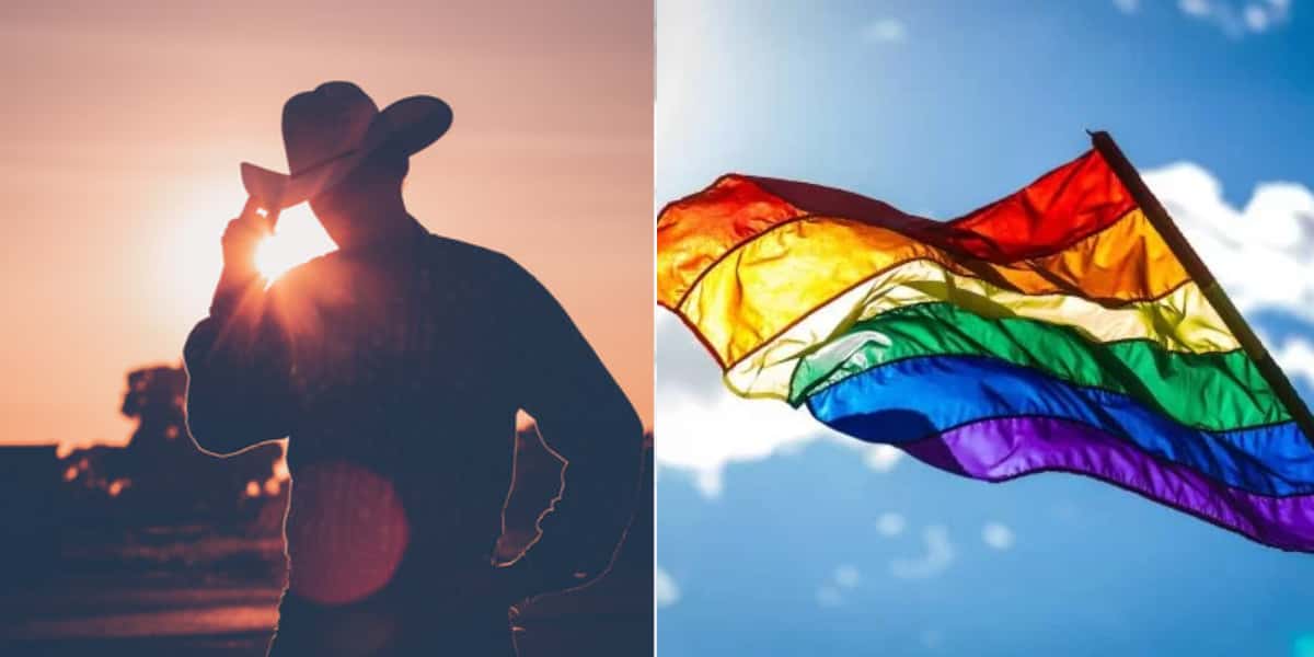 Sertanejo - gay (Foto: Divulgação)