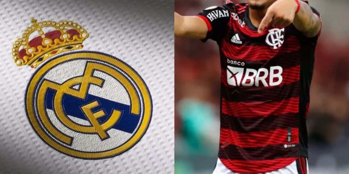 Montagem Tv Foco
