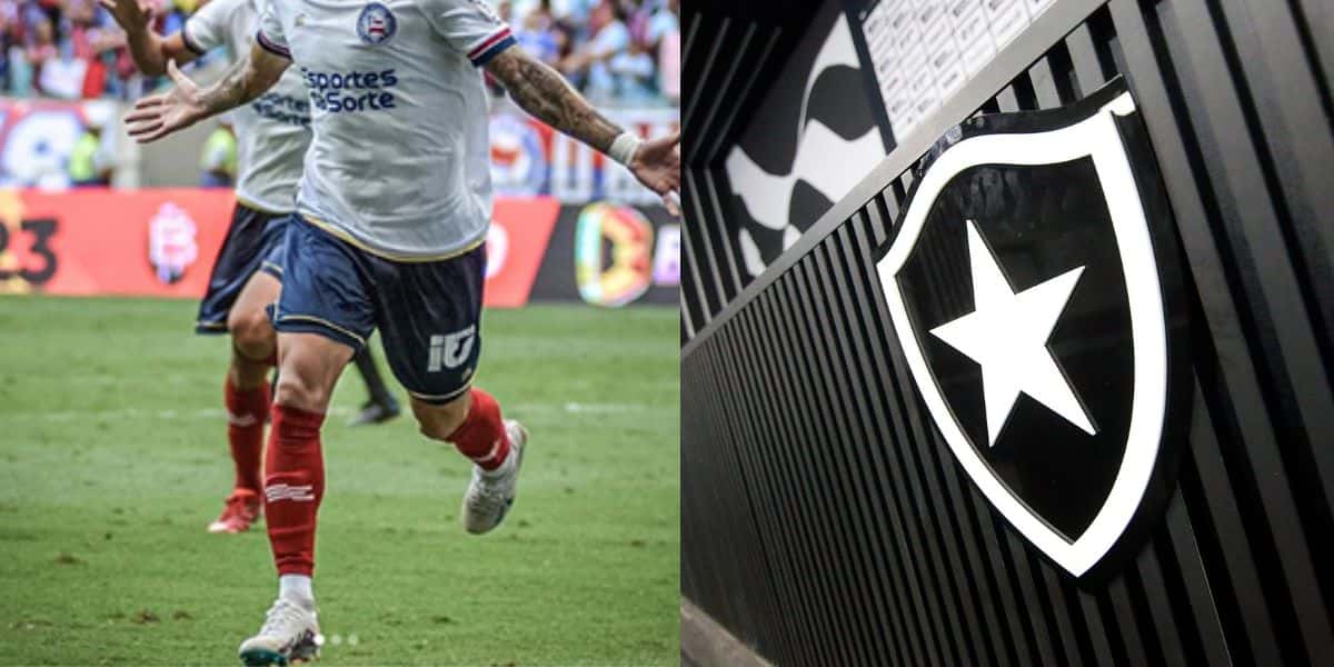 Botafogo e Cauly (Reprodução - Internet)