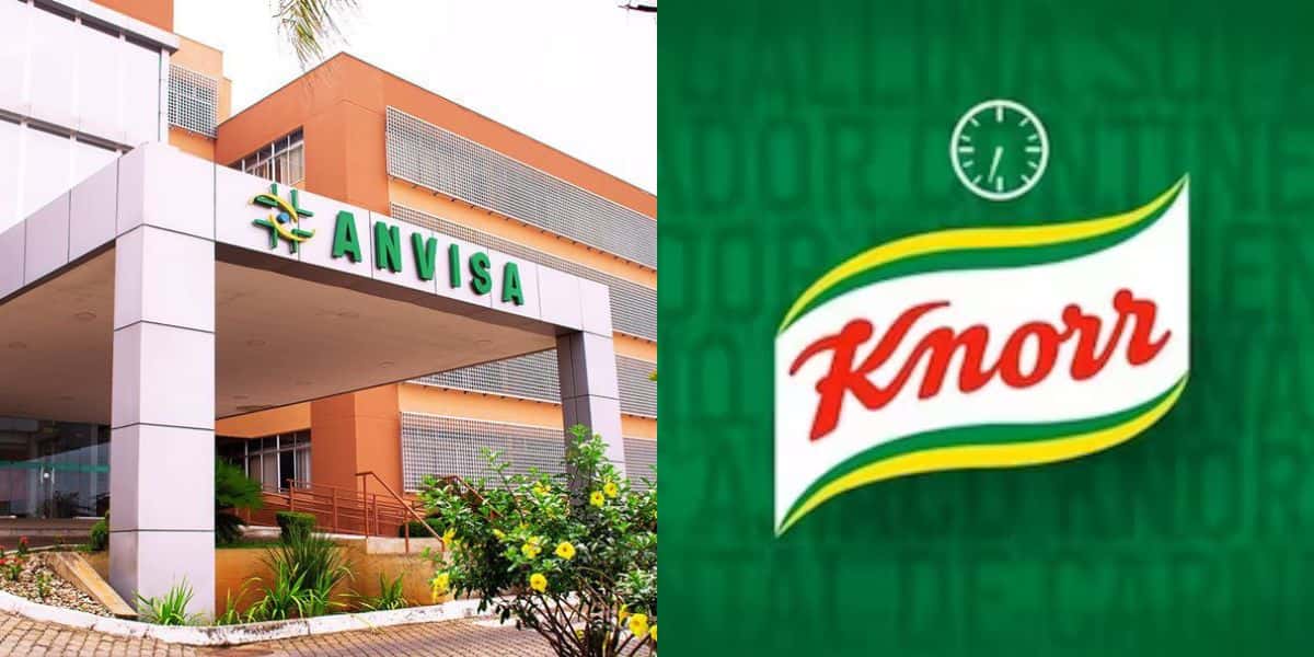 Logo da Anvisa e Knorr (Foto: Reprodução / Internet)