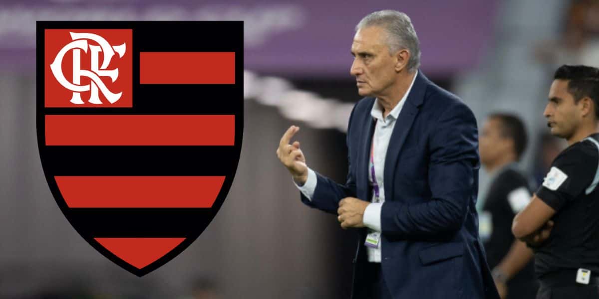 Montagem Tv Foco