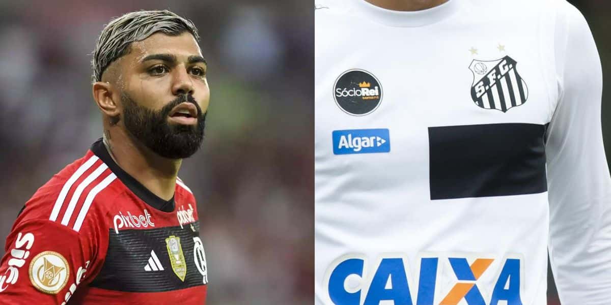 Montagem Tv Foco