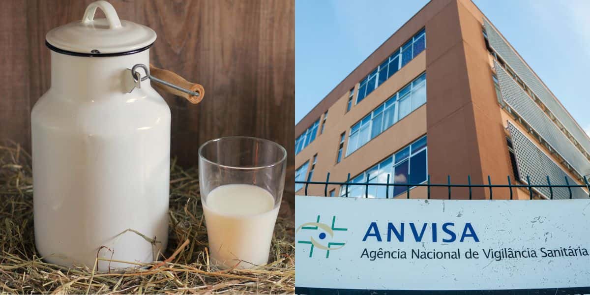 Marca de leita arrancada pela Anvisa (Reprodução: Montagem TV Foco)