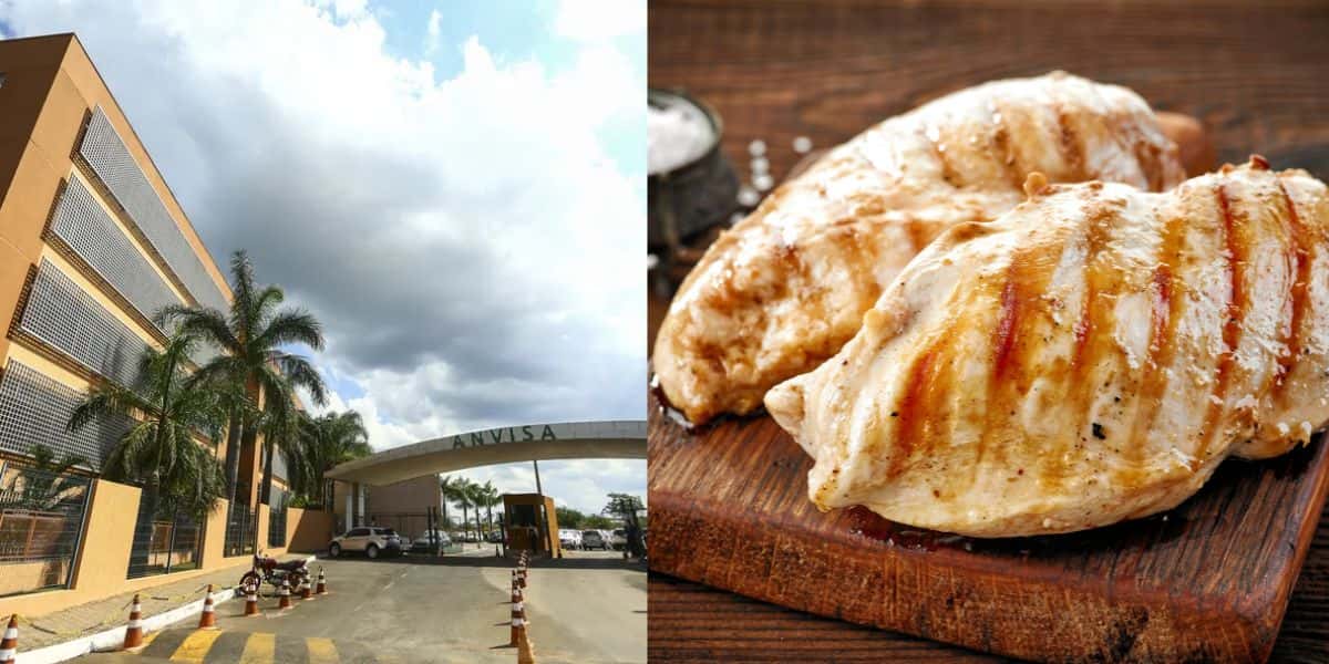 Anvisa e Frango (Reprodução - Internet)